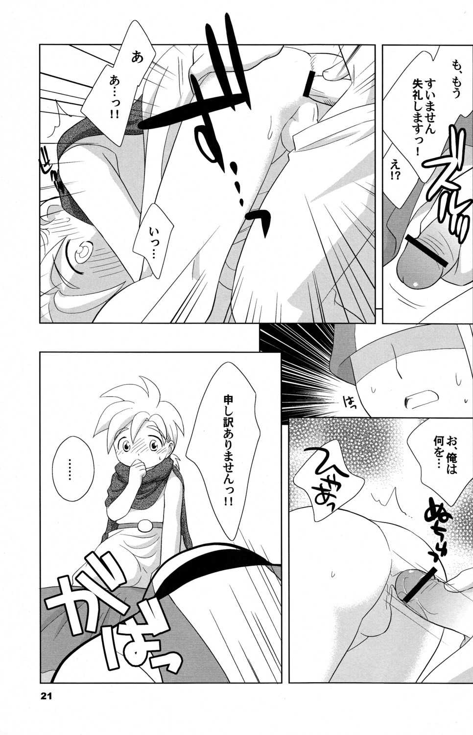(Shotaket 10) [Tokuda (Ueda Yuu)] Hoshifuru Seisui (Dragon Quest V) - Page 21