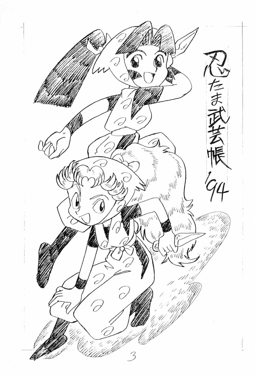 (C47) [UNION OF THE SNAKE (Shinda Mane)] Nintama Bugei-chou '94 (Rakudai Ninja Rantaro) - Page 3