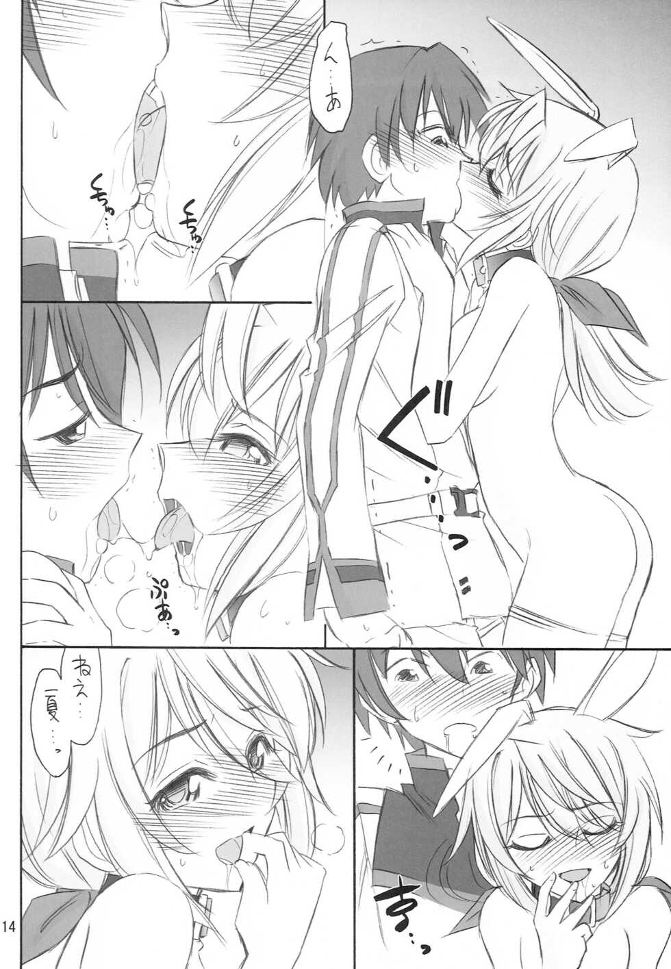 (C81) [EINSATZ GRUPPE (Charlie Nishinaka)] BLACK & WHITE (IS <Infinite Stratos>) - Page 15