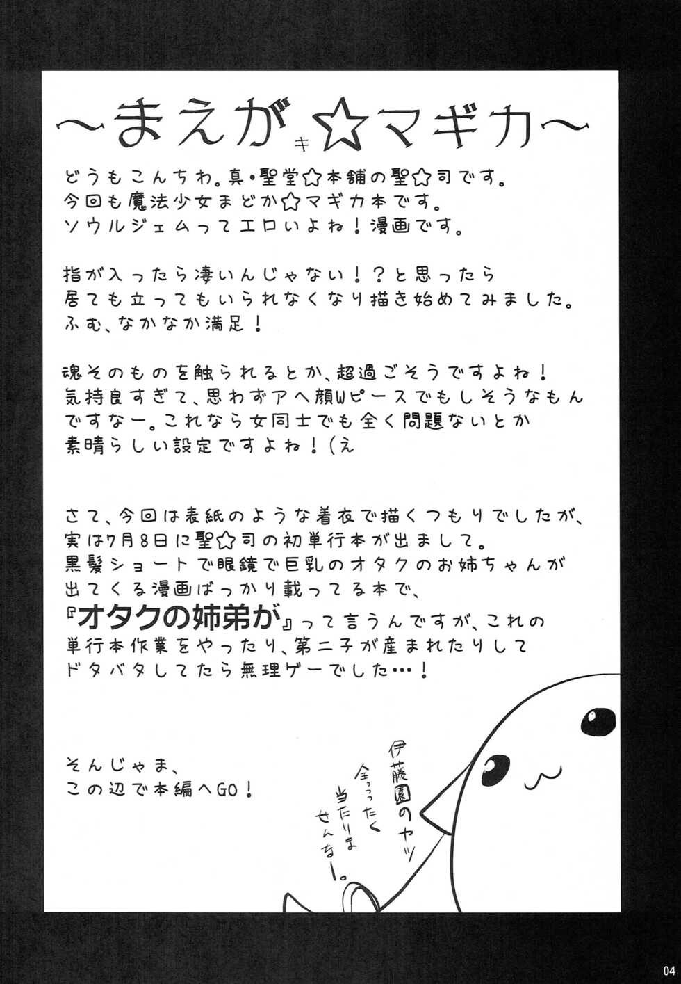 (Mou Nani mo Kowaku Nai 2) [Shin Hijiridou Honpo, Tou*Nan*Tou (Hijiri Tsukasa, Mai)] Sakura Kyouko Loop O Shuume (Puella Magi Madoka Magica) - Page 3