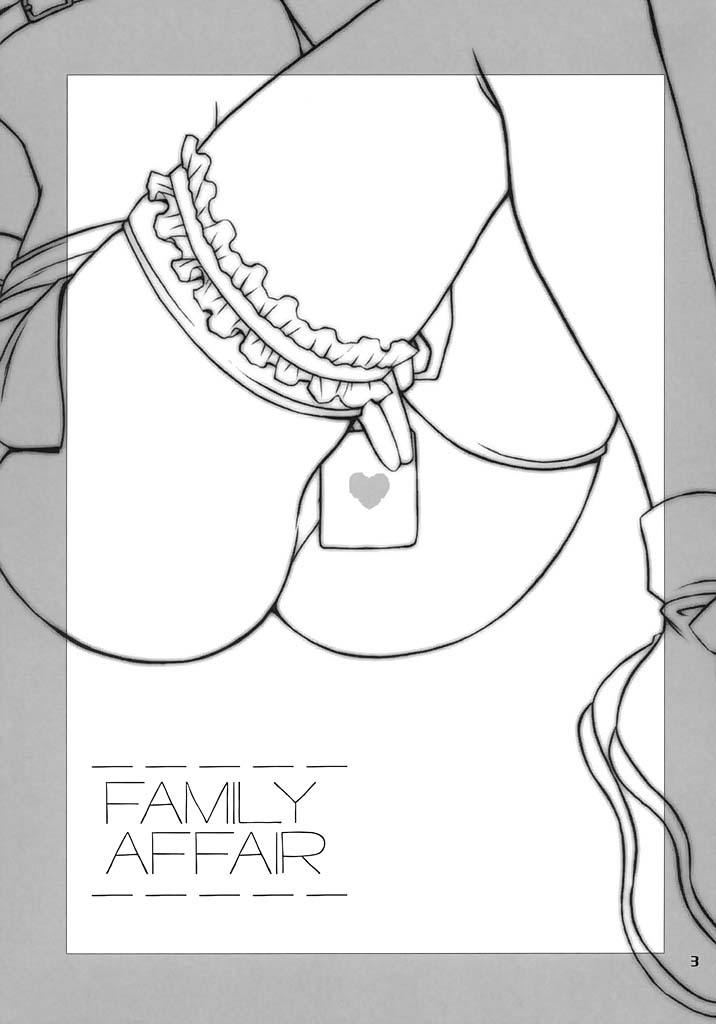 [DAIZU AZUKI (Chomoyama)] FAMILY AFFAIR (Ragnarok Online) - Page 2