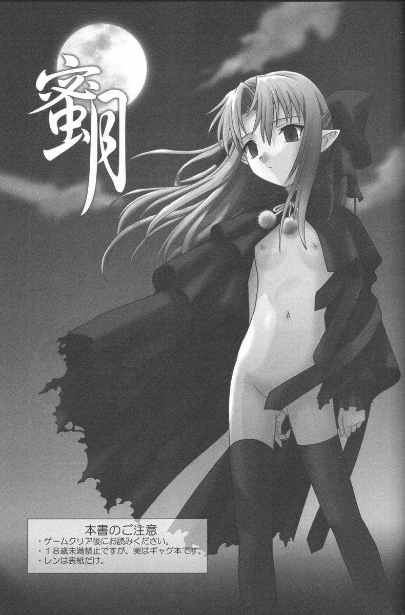 (C61) [.30-06 (Tsutsumi Akari)] Mitsugetsu (Tsukihime) - Page 2