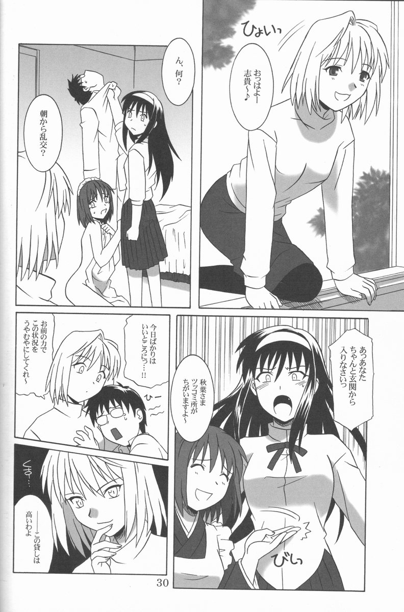 (C61) [.30-06 (Tsutsumi Akari)] Mitsugetsu (Tsukihime) - Page 29