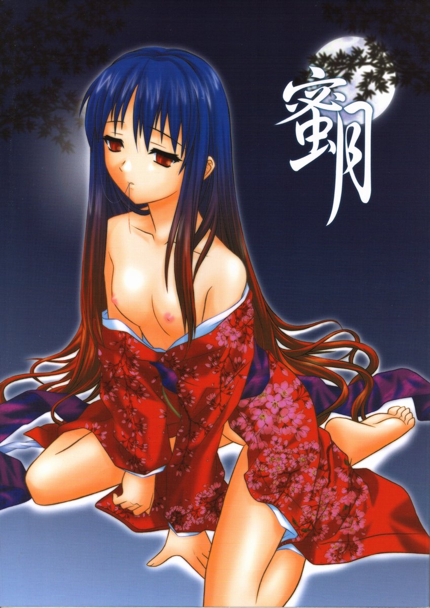 (C62) [.30-06 (Tsutsumi Akari)] Mitsugetsu Vol. 2 (Tsukihime) - Page 1