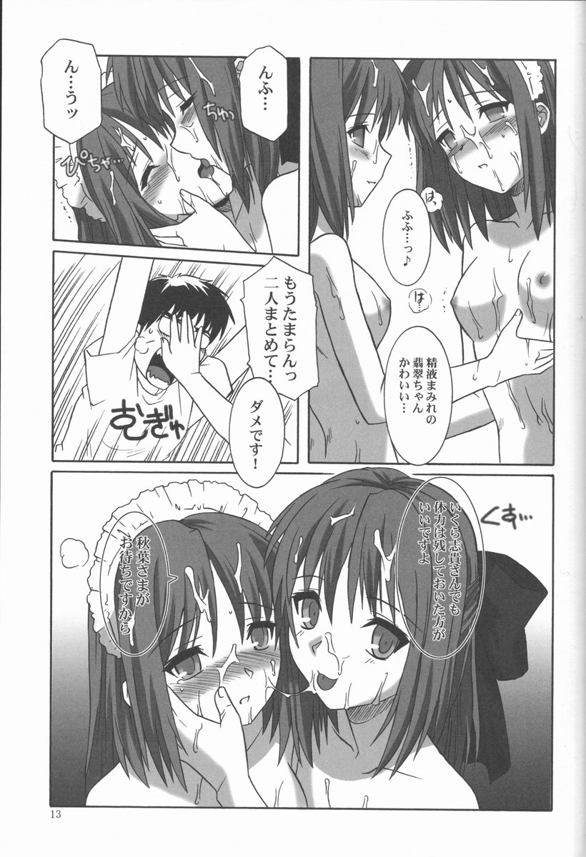 (C62) [.30-06 (Tsutsumi Akari)] Mitsugetsu Vol. 2 (Tsukihime) - Page 12