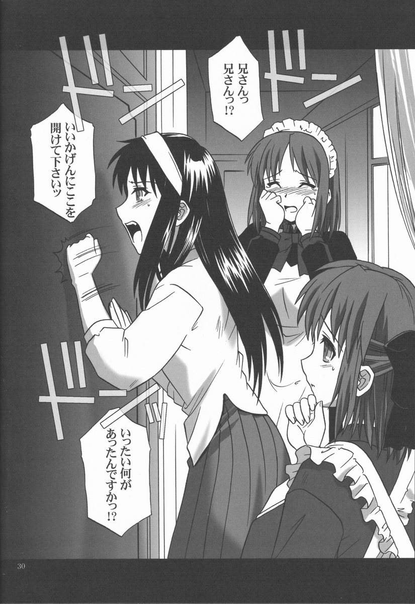 (C62) [.30-06 (Tsutsumi Akari)] Mitsugetsu Vol. 2 (Tsukihime) - Page 29