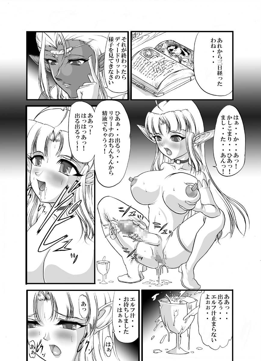 [SLW (Q1)] Aidorei  Elf Senki (Record of Lodoss War) [Digital] - Page 14