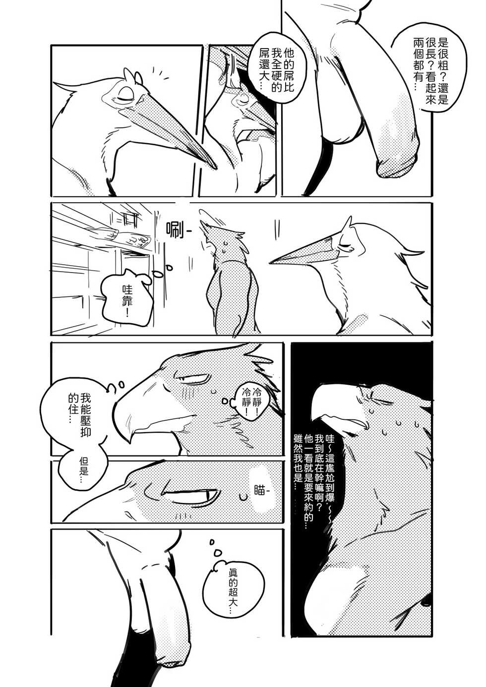 Pelican and White-tailed Eagle 鵜鶘和白尾鷹 - Page 3
