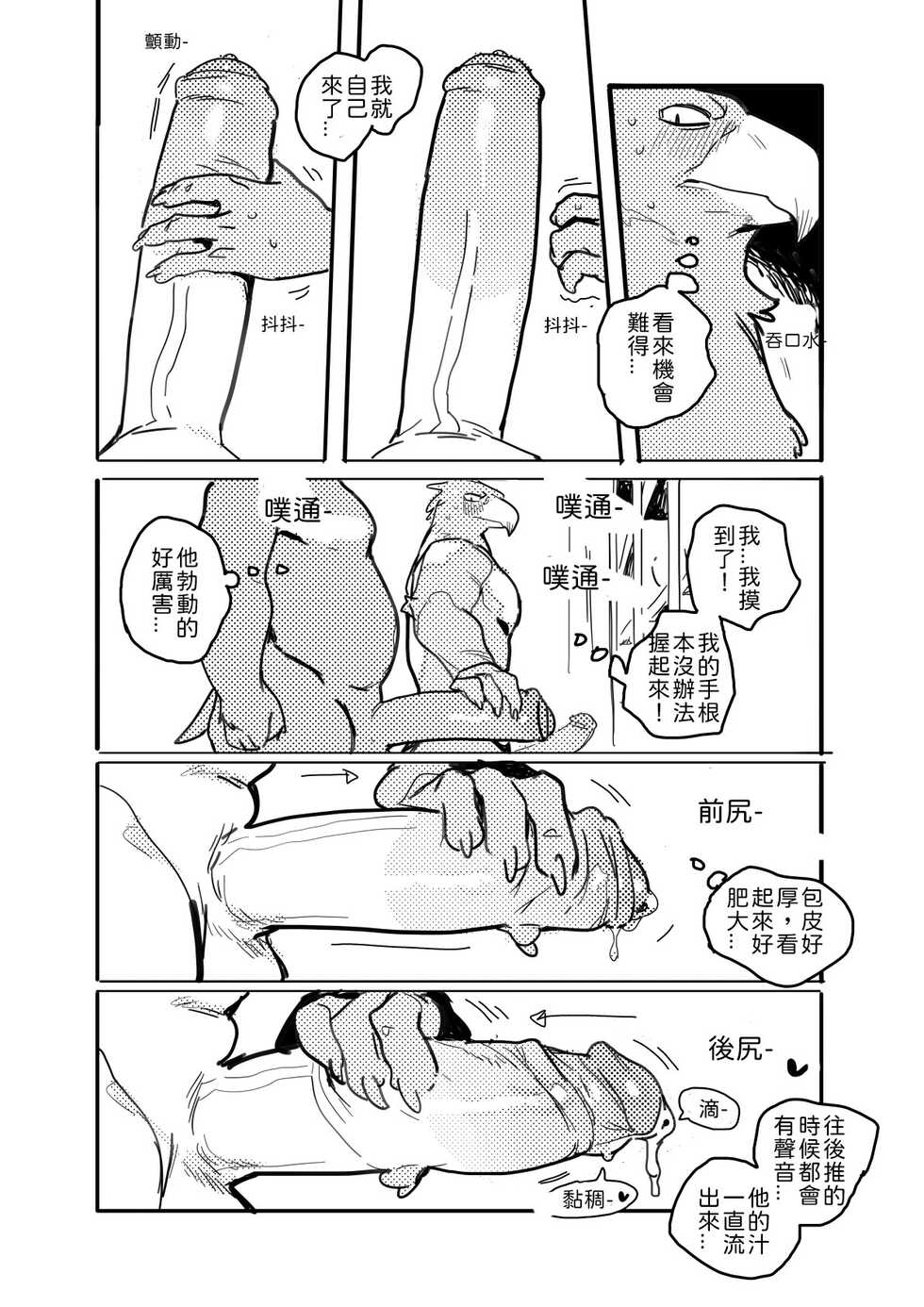 Pelican and White-tailed Eagle 鵜鶘和白尾鷹 - Page 7