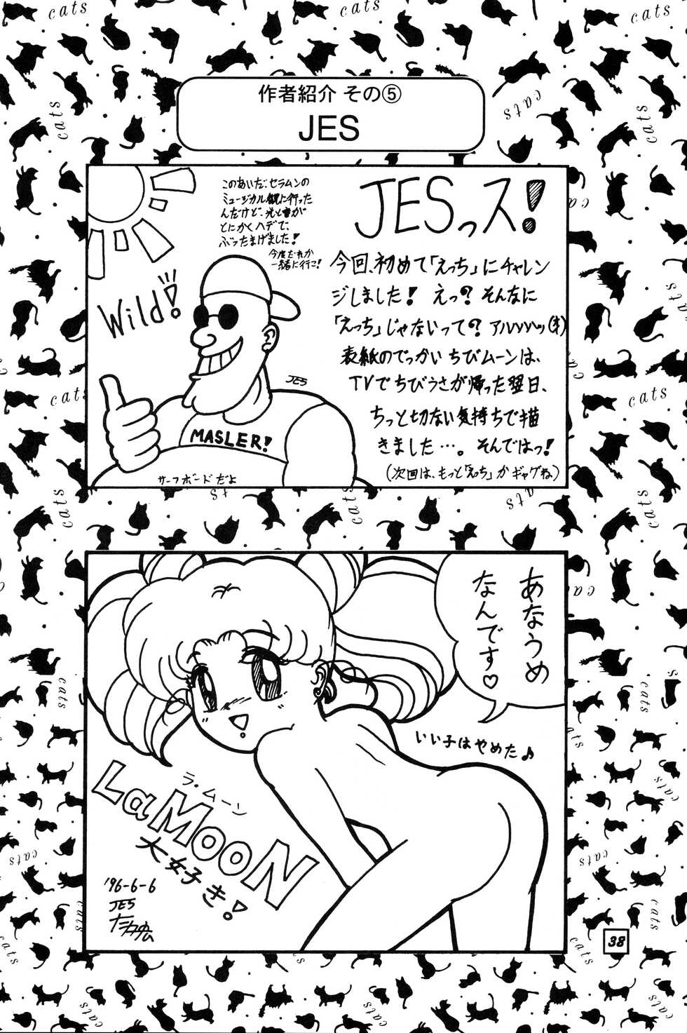 (C50) [Studio JES (Various)] SuMoMo (Sailor Moon) - Page 37