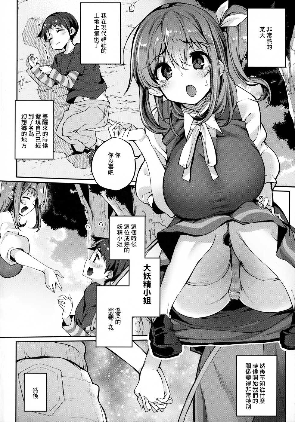 (C99) [Nigeru Support (Nigesapo)] Kimi o Kattemo Iidesuka? (Touhou Project) [Chinese] - Page 3