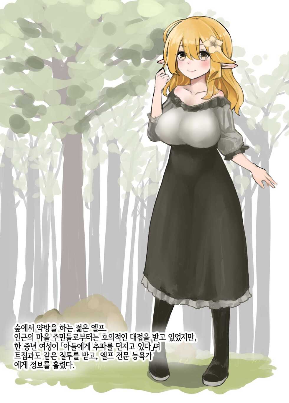 [Beauty Salon B & S (BS3)] Elf o Okasu Hon 2 | A Book About Raping an Elf 2  [Digital] [Spanish] [elgatonegro] - Page 10