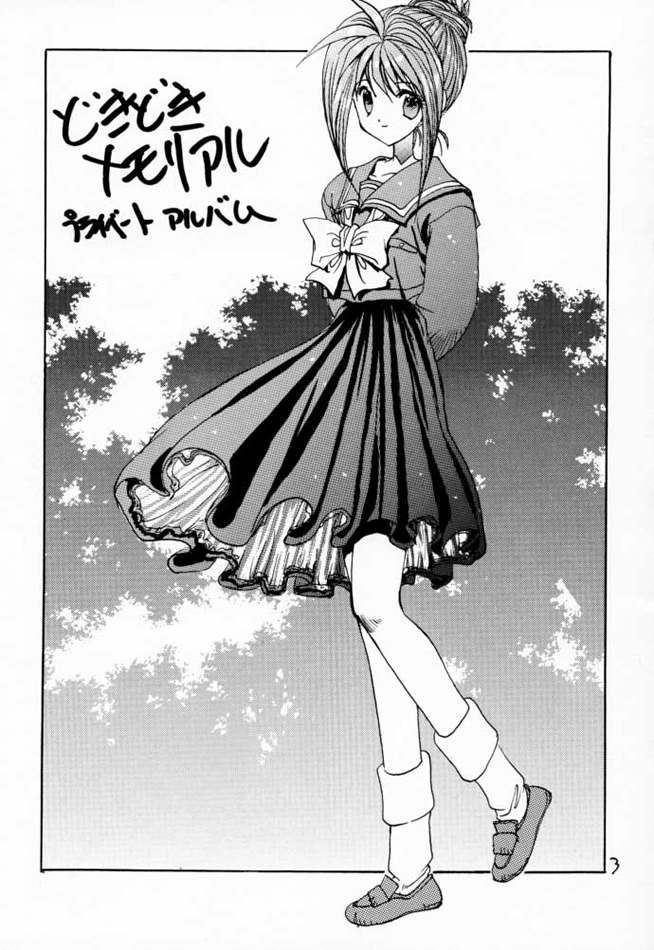 [ZINZIN (Hagure Metal)] DokiDoki Memorial Private Album (Tokimeki Memorial) - Page 2