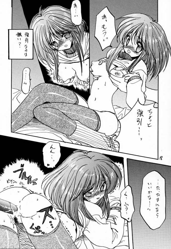 [ZINZIN (Hagure Metal)] DokiDoki Memorial Private Album (Tokimeki Memorial) - Page 17