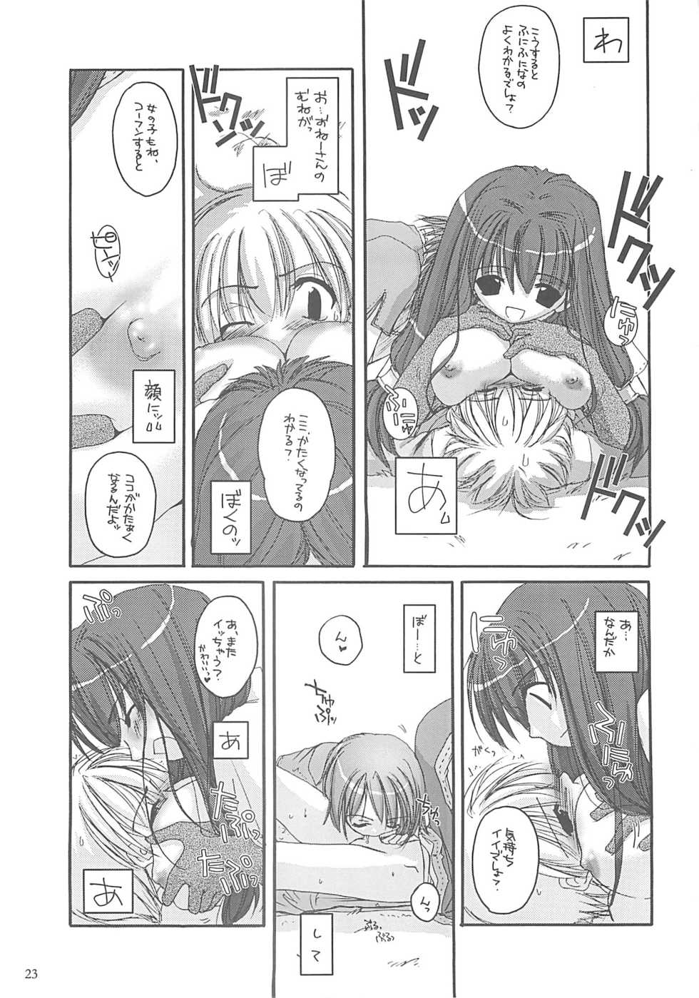(C62) [Digital Lover (Nakajima Yuka)] D.L. action 13 (Ragnarok Online) - Page 22
