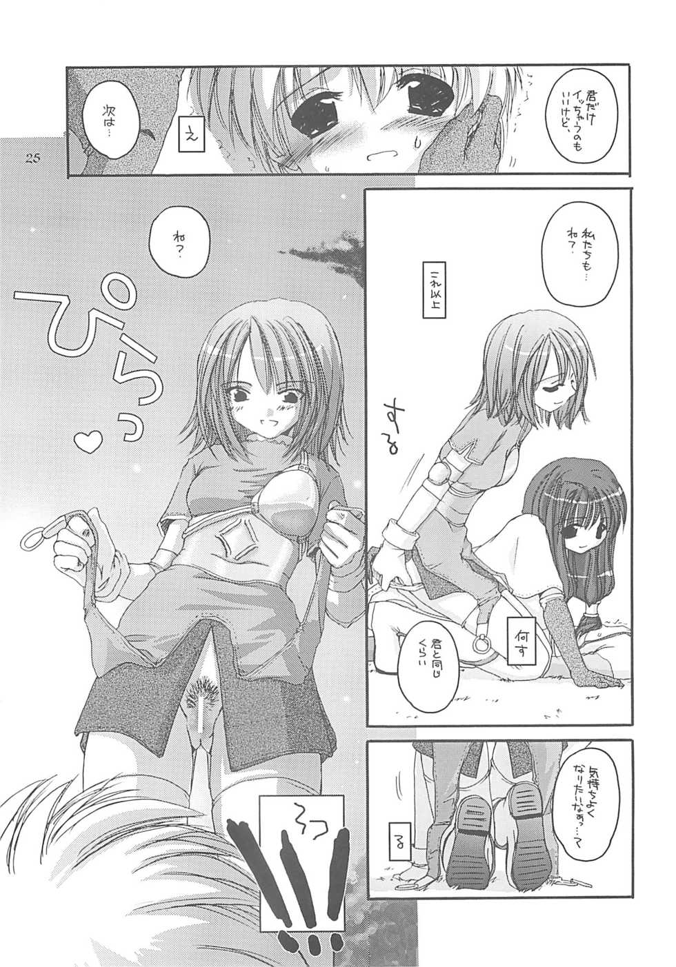 (C62) [Digital Lover (Nakajima Yuka)] D.L. action 13 (Ragnarok Online) - Page 24