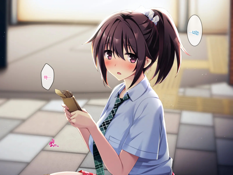 [Lyricbox (Akisoba)] Zoku Natsu "500 Yen de 10-pun Pants Misemasu" to Iu Enkou Shoujo ni 500-man Yen de Keiyaku Shitemita .「500엔에 10분 팬티 보여줍니다」라고 하는 원조교제 소녀에게 5만엔 찔러줘봤다. [Korean] - Page 12