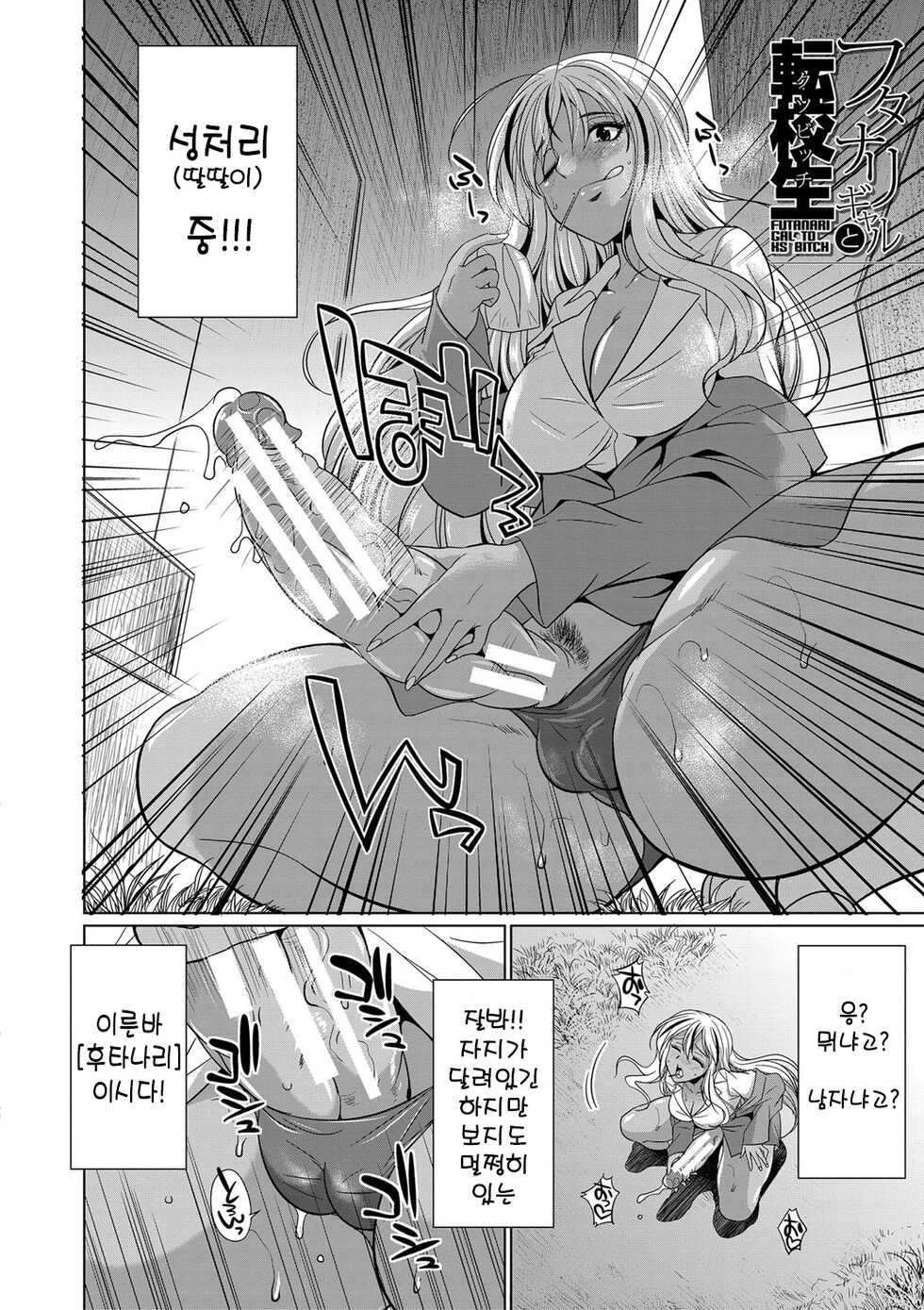 [Gekka Kaguya] Futanari Gal VS Bitch Shimai | 후타나리 갸루와 빗치 자매 [Korean] [Digital] - Page 5