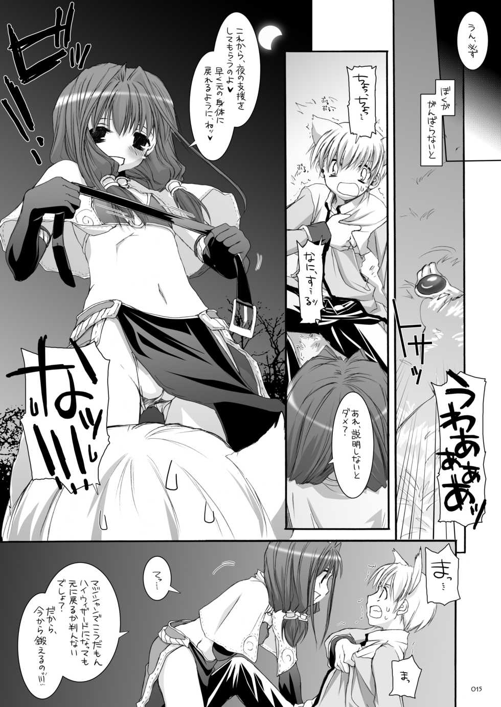 [Digital Lover (Nakajima Yuka)] DL-RO Soushuuhen 04 - DL-RO Perfect Collection No. 04 (Ragnarok Online) [Digital] - Page 14