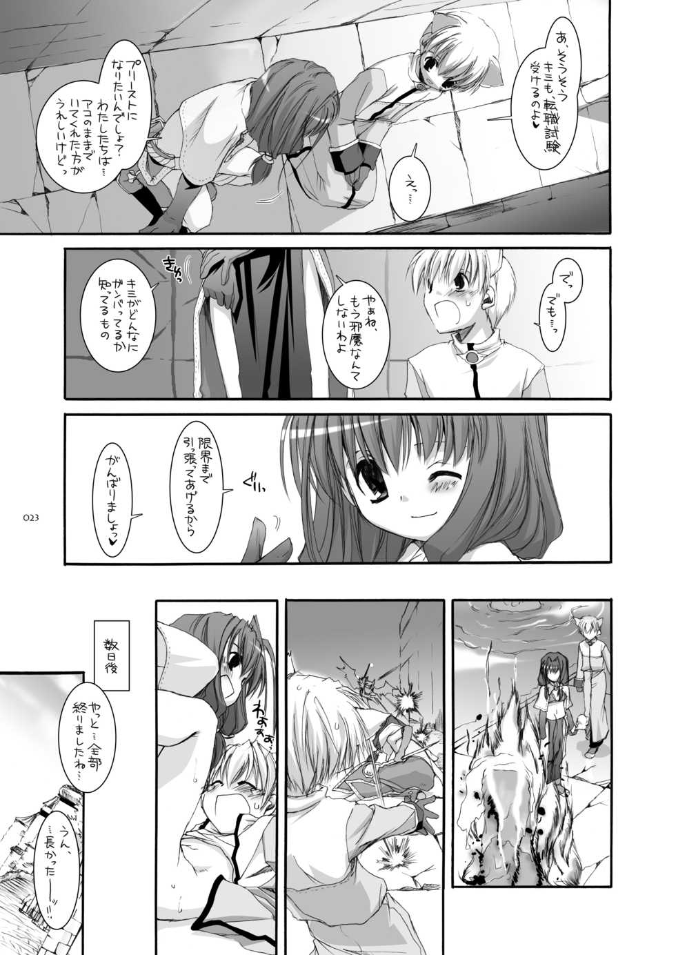 [Digital Lover (Nakajima Yuka)] DL-RO Soushuuhen 04 - DL-RO Perfect Collection No. 04 (Ragnarok Online) [Digital] - Page 22