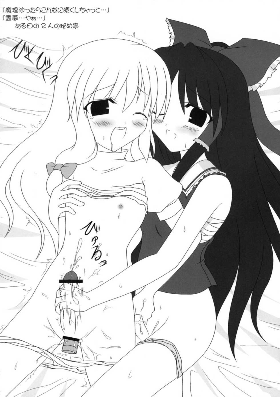 (C68) [Mirabilien Fabrik (Various)] Touhou Sourenge (Touhou Project) - Page 25