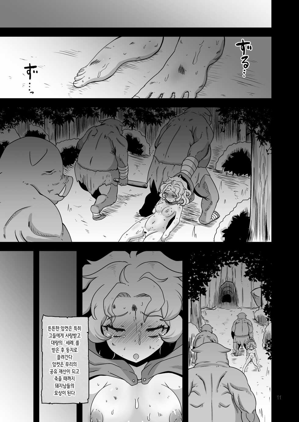 [HellDevice (nalvas)] Genso Yobi Roku Orc | 환상요미록 오크 [Korean] [Digital] - Page 11
