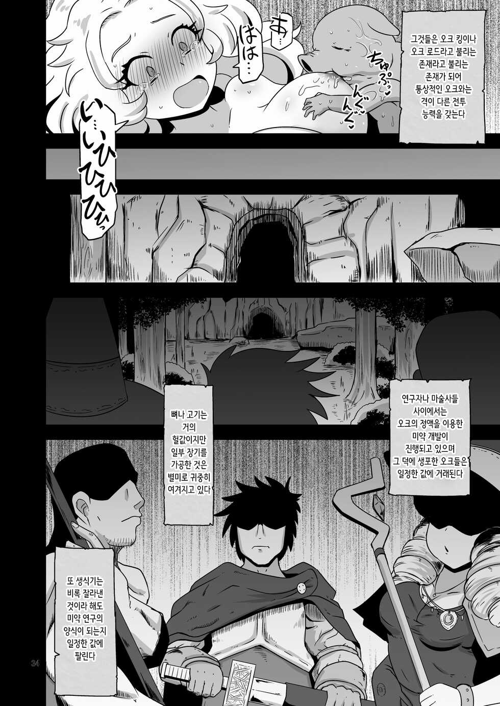 [HellDevice (nalvas)] Genso Yobi Roku Orc | 환상요미록 오크 [Korean] [Digital] - Page 34