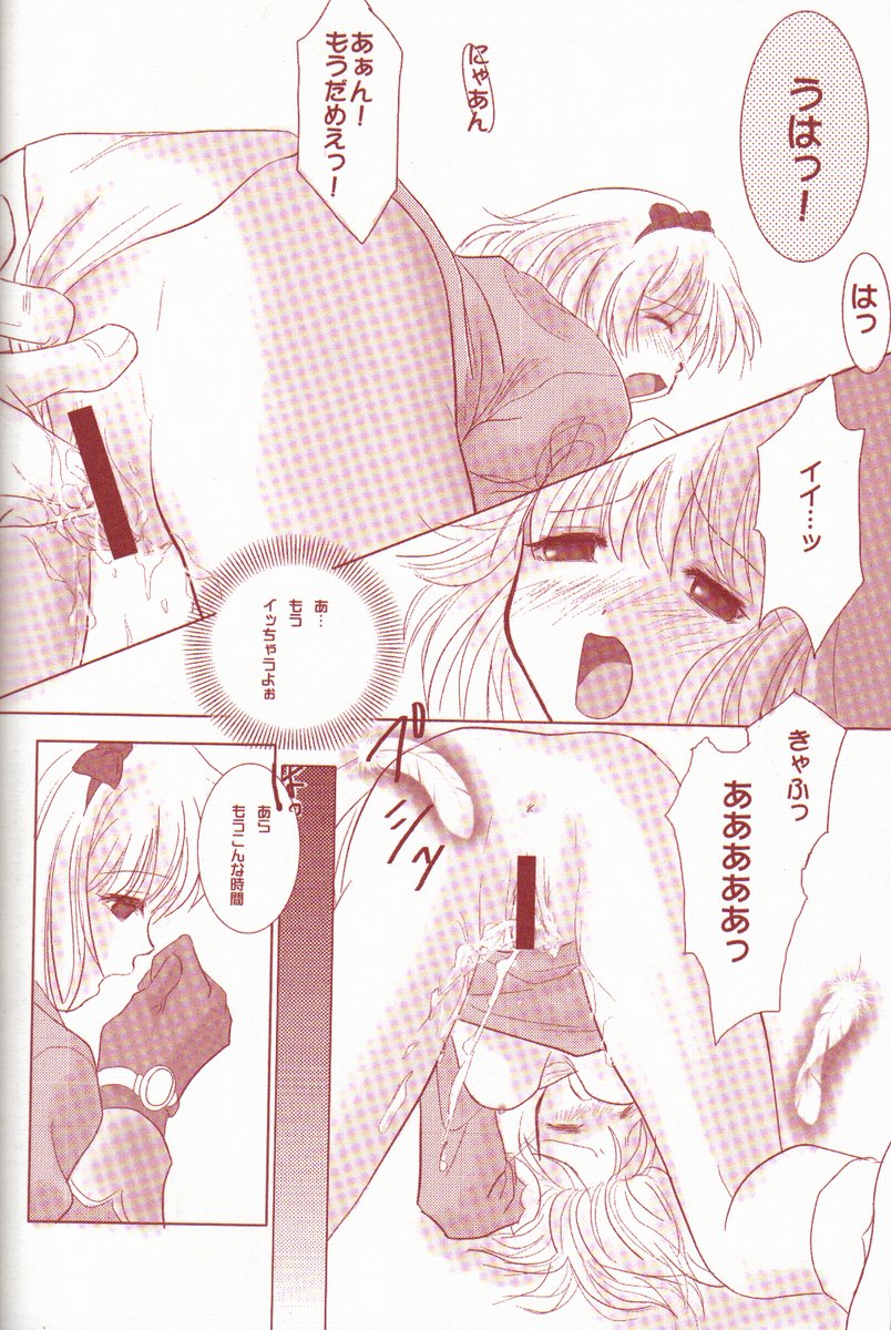 (C62) [AREYOUHAPPY?, APOCRIPHA (Asai Ichiko, Hiyama Akira)] ninukuna- (Ragnarok Online) - Page 14