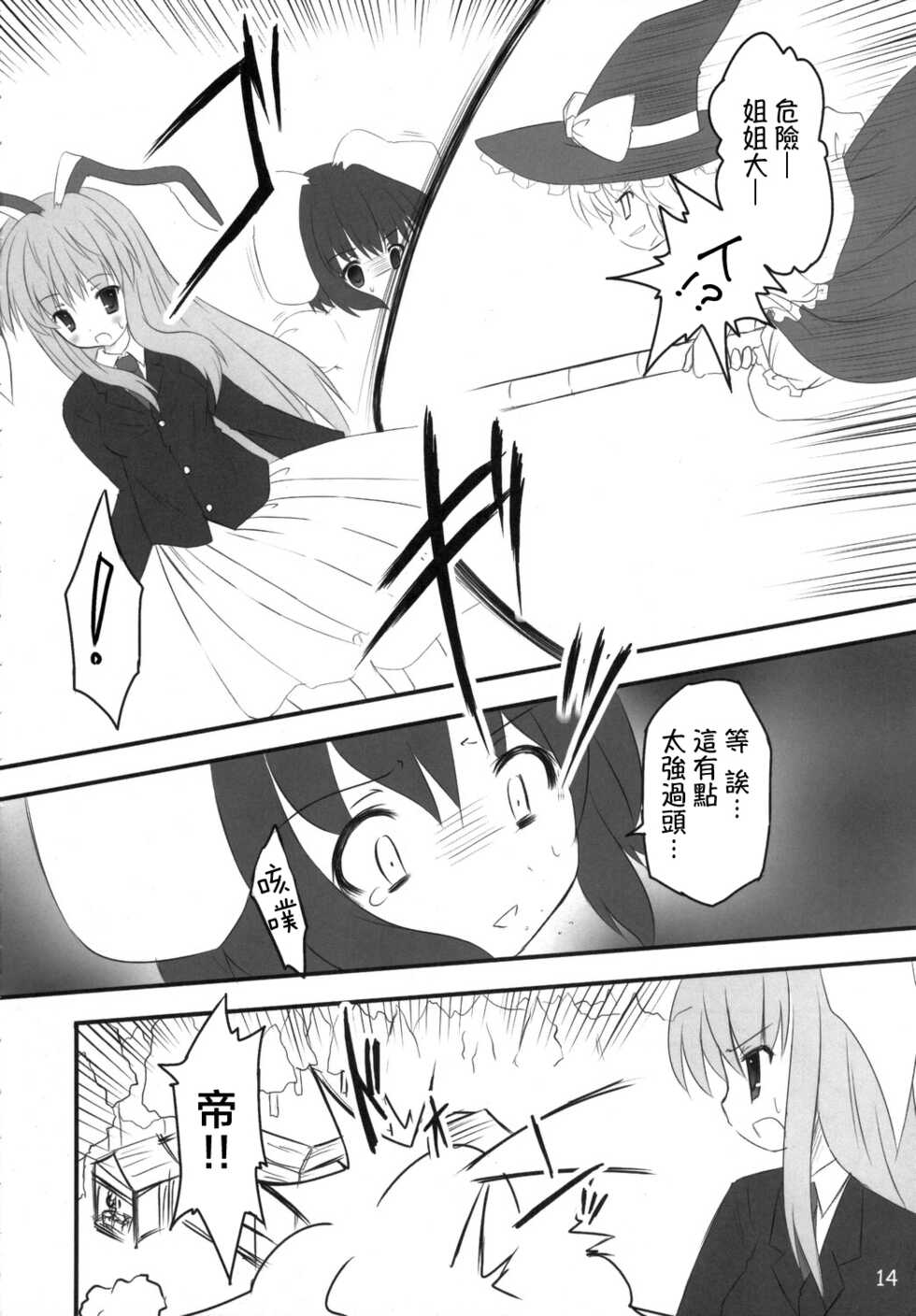 (C70) [PoM (Monchy)] Usa Uso Do-sagi Cuniculus 2 (Touhou Project) [Chinese] [乌冬个人汉化] - Page 14