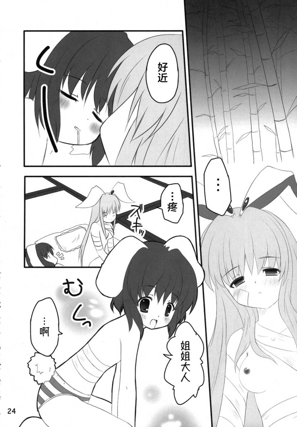 (C70) [PoM (Monchy)] Usa Uso Do-sagi Cuniculus 2 (Touhou Project) [Chinese] [乌冬个人汉化] - Page 24