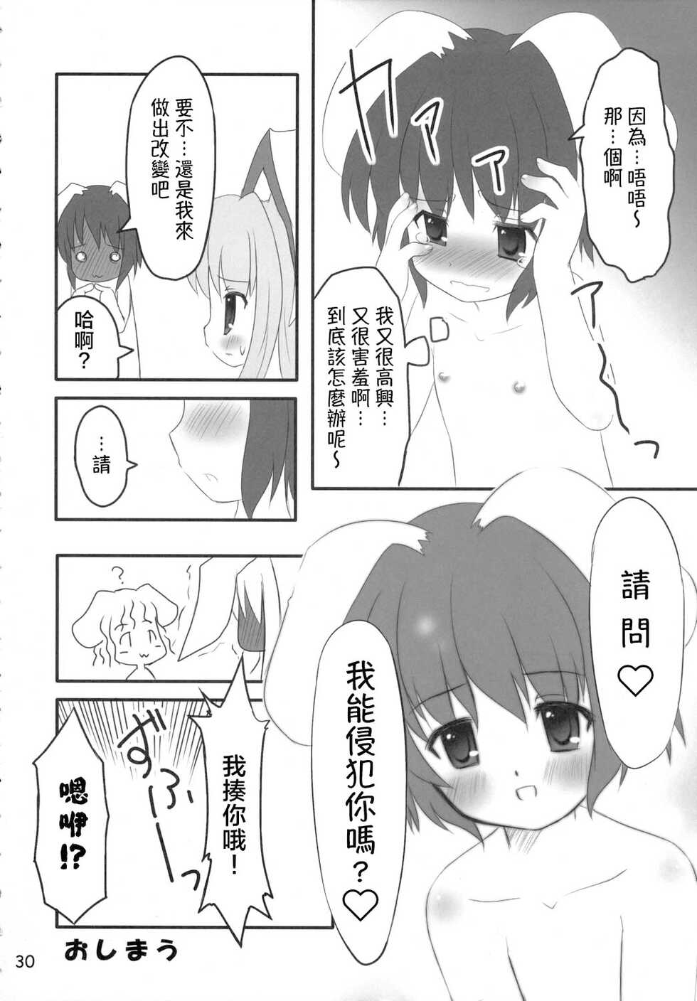 (C70) [PoM (Monchy)] Usa Uso Do-sagi Cuniculus 2 (Touhou Project) [Chinese] [乌冬个人汉化] - Page 30