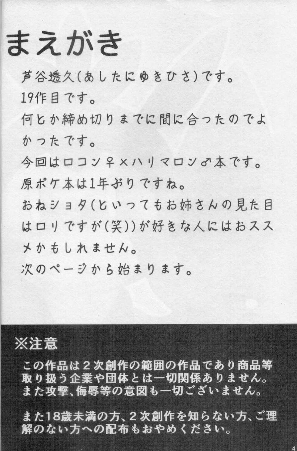 (C96) [BEart (Ashitani Yukihisa)] Onee-san to Ii Koto Shiyo(Pokémon) - Page 3