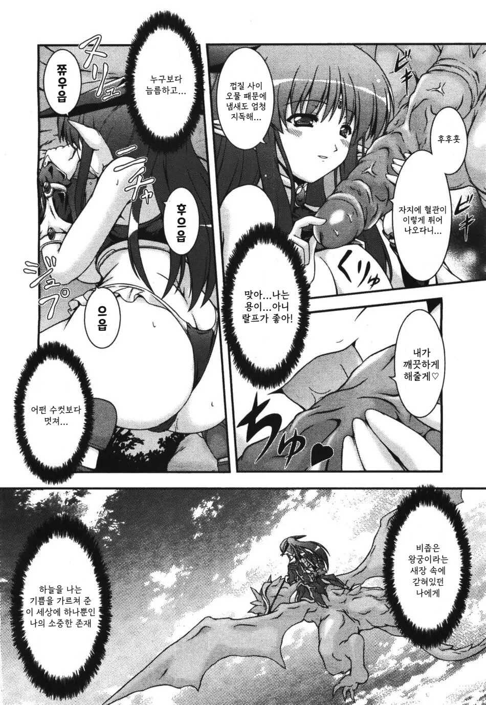 [Kanmuryou] Dragon Flight [Korean] [Decensored] - Page 6