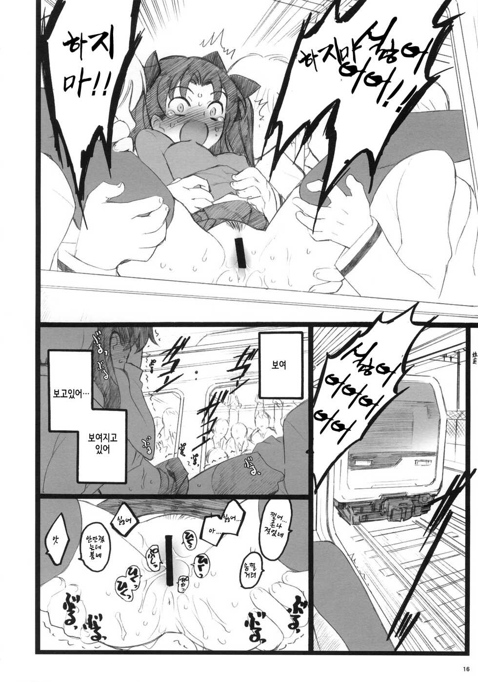 (C70) [Keumaya (Inoue Junichi)] Hyena 2 / Walpurgis no Yoru 2 (Fate/stay night) [Korean] - Page 15