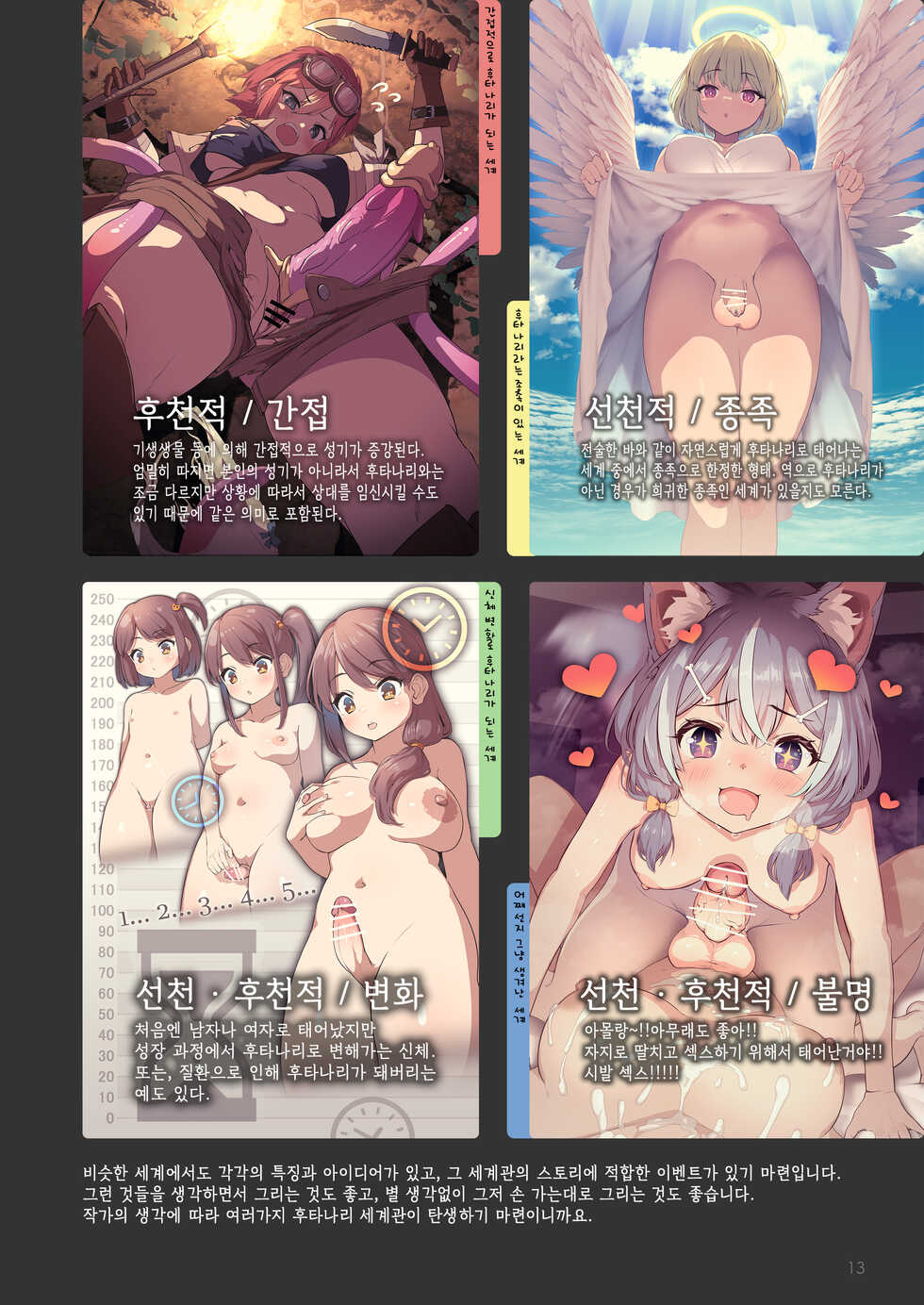 [Nekoarashi (Yana)] Futanari, tte Nani? - What is Futanari? | 후타나리가 뭐야? [Korean] [Digital] - Page 13