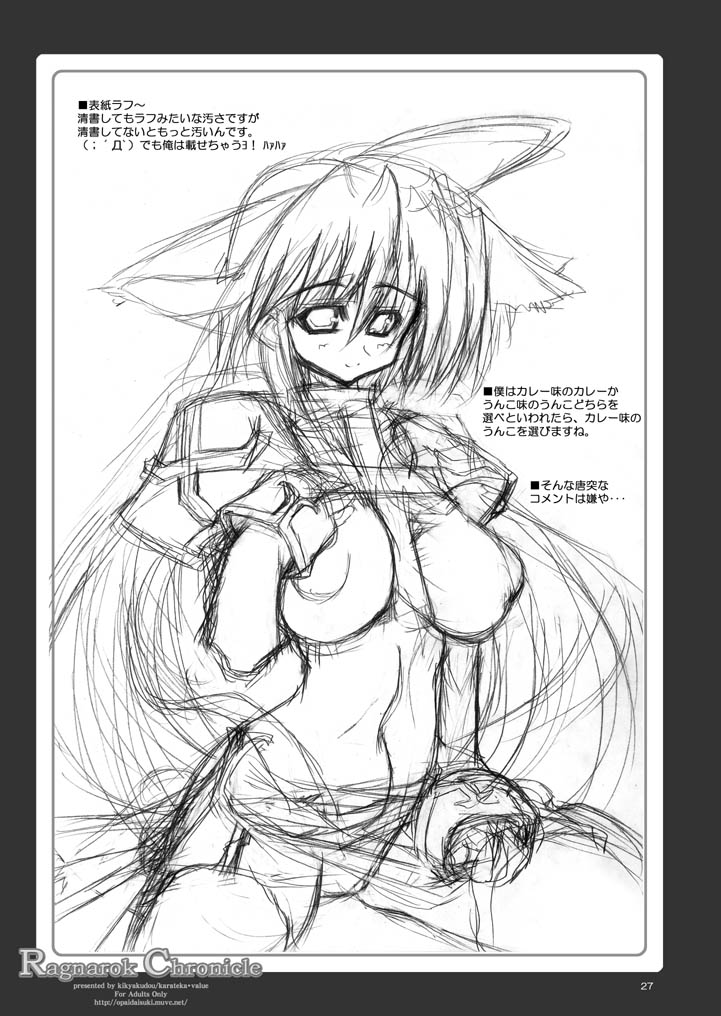 (C68) [Kikyakudou (Karateka Value)] Ragnarok Chronicle (Ragnarok Online) - Page 26