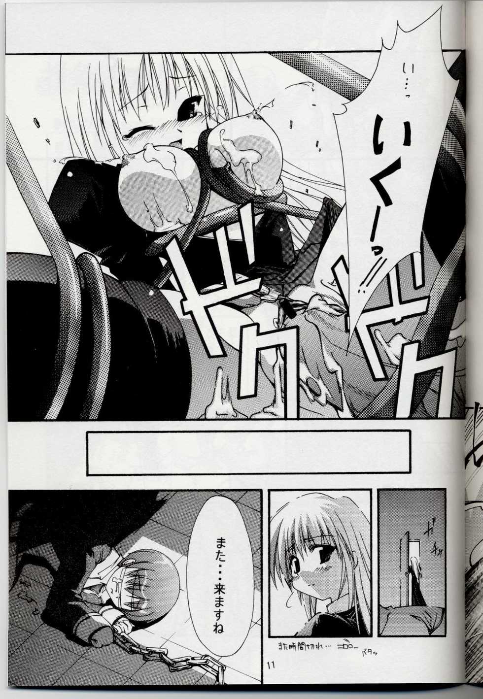 (C63) [Nanairo no Magatama (Nanaki Seiju)] Ragnarok Fantasy (Ragnarok Online) - Page 10