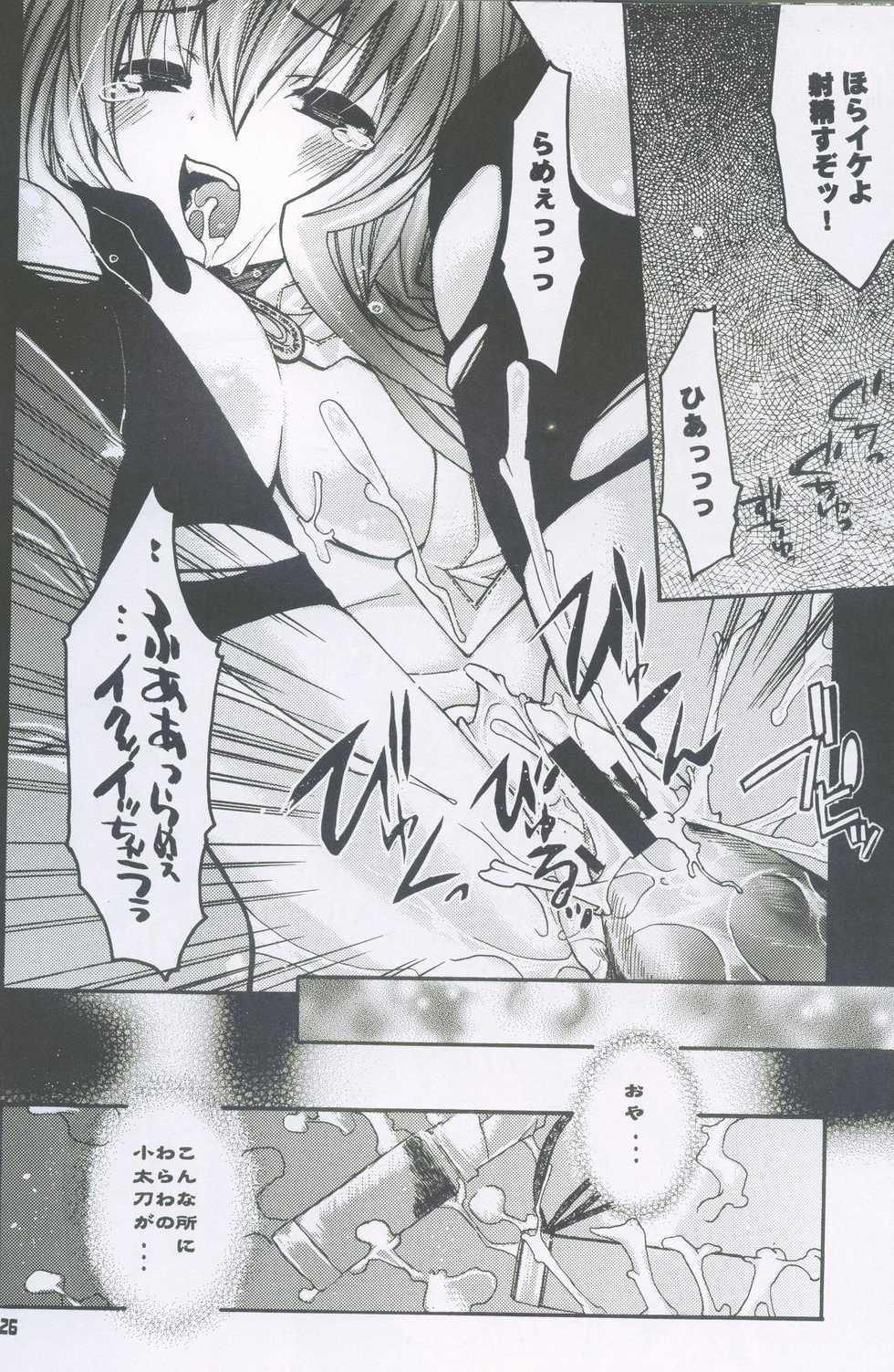 (C64) [Seinansei ni Kagayakeru Hoshi (Morino Papiko)] Ragnarok Yawa Level.2 (Ragnarok Online) - Page 25
