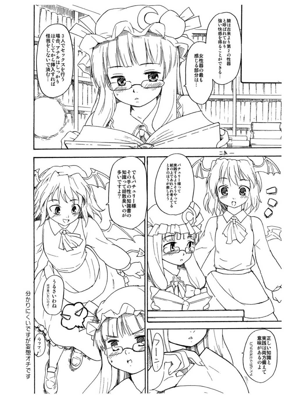 (Reitaisai 3) [Paranoia Cat (Fujiwara Shunichi)] TRANQUILLIZERS (Touhou Project) - Page 12