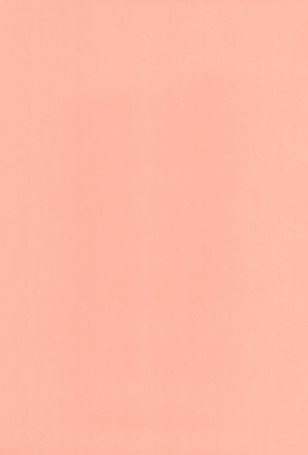 (C63) [Dokuritsu Gurentai (Bow Rei)] Recchira Nuppon! - Page 3