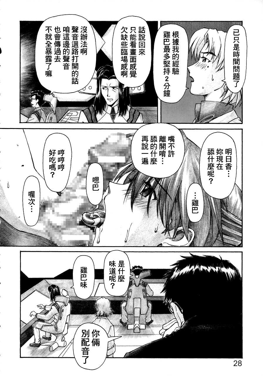 (C68) [TENGU NO TSUZURA (Kuro Tengu)] NERV no Ichiban Nagai Hi (Neon Genesis Evangelion) [Chinese] [surely个人汉化] - Page 27