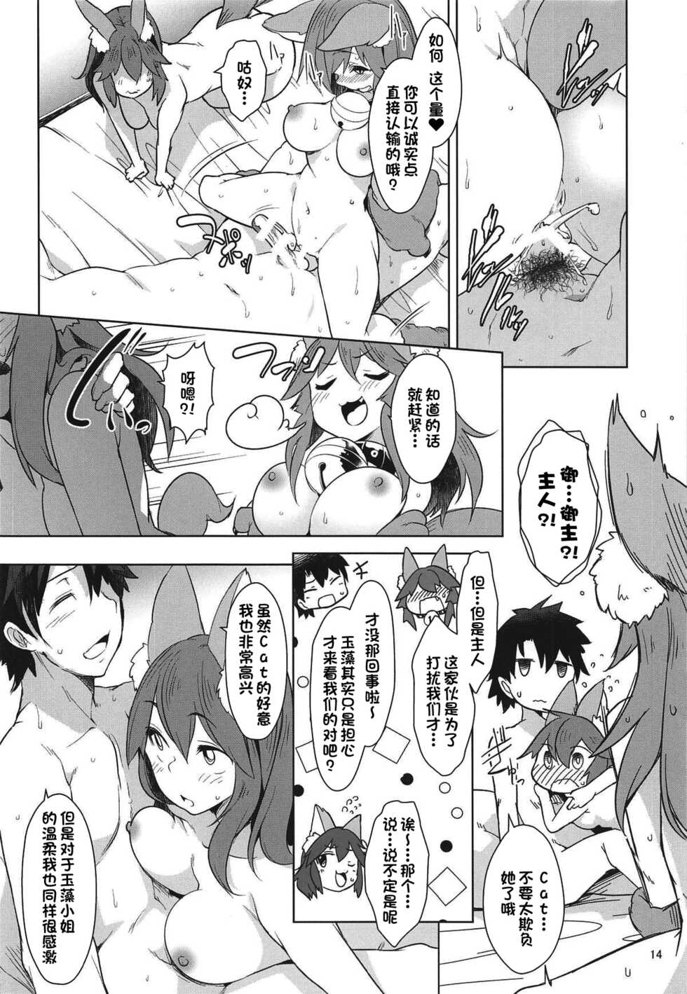 (C96) [Akikaze Asparagus (Aki)] Hatsujou Cat Fight (Fate/Grand Order) [Chinese] [一只麻利的鸽子汉化x甜族星人出资] - Page 14