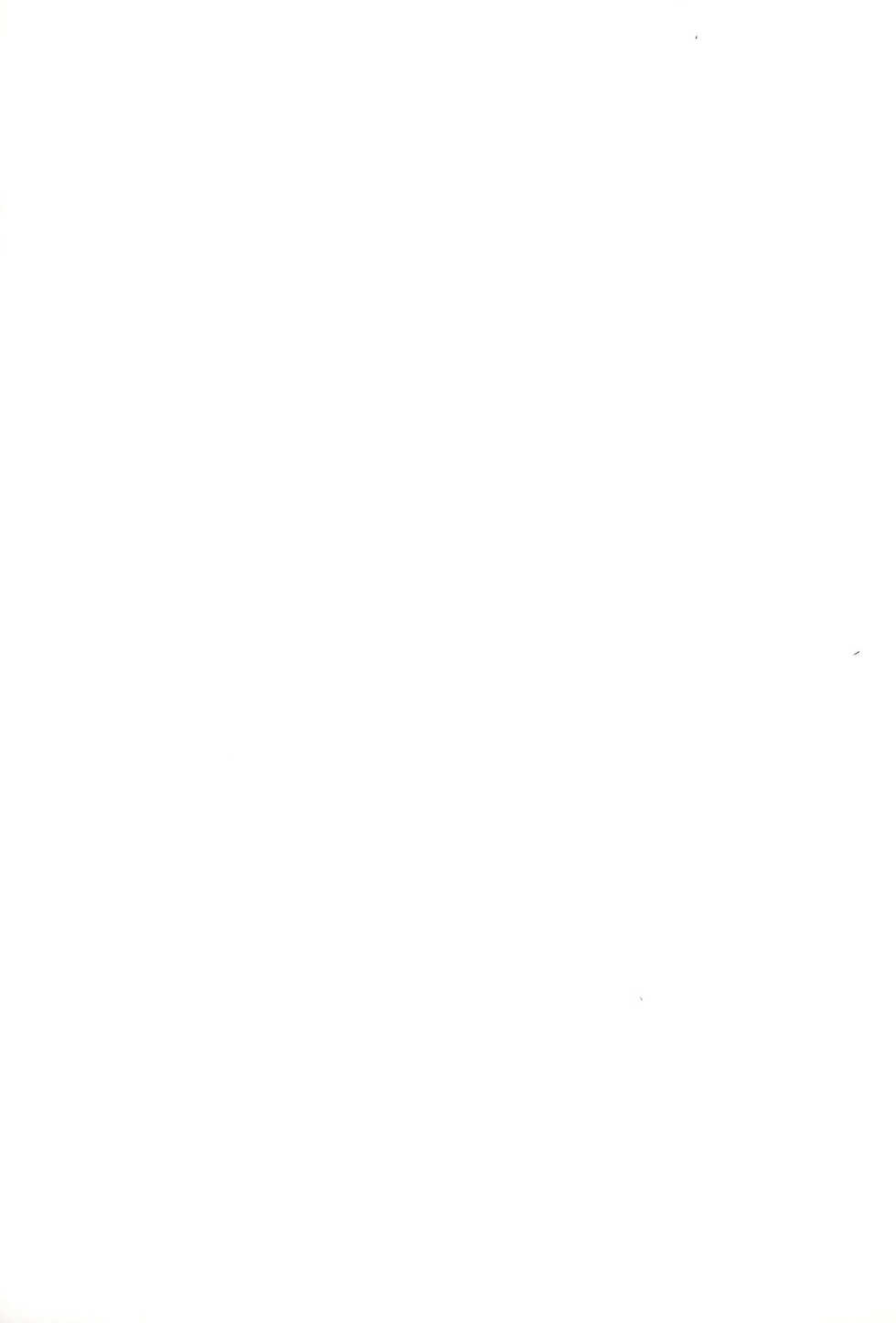 (C77) [Kamepotel (Izuki Jirou)] Nogizaka Mika no Mitsugetsu Tear Plus (Nogizaka Haruka no Himitsu) - Page 23