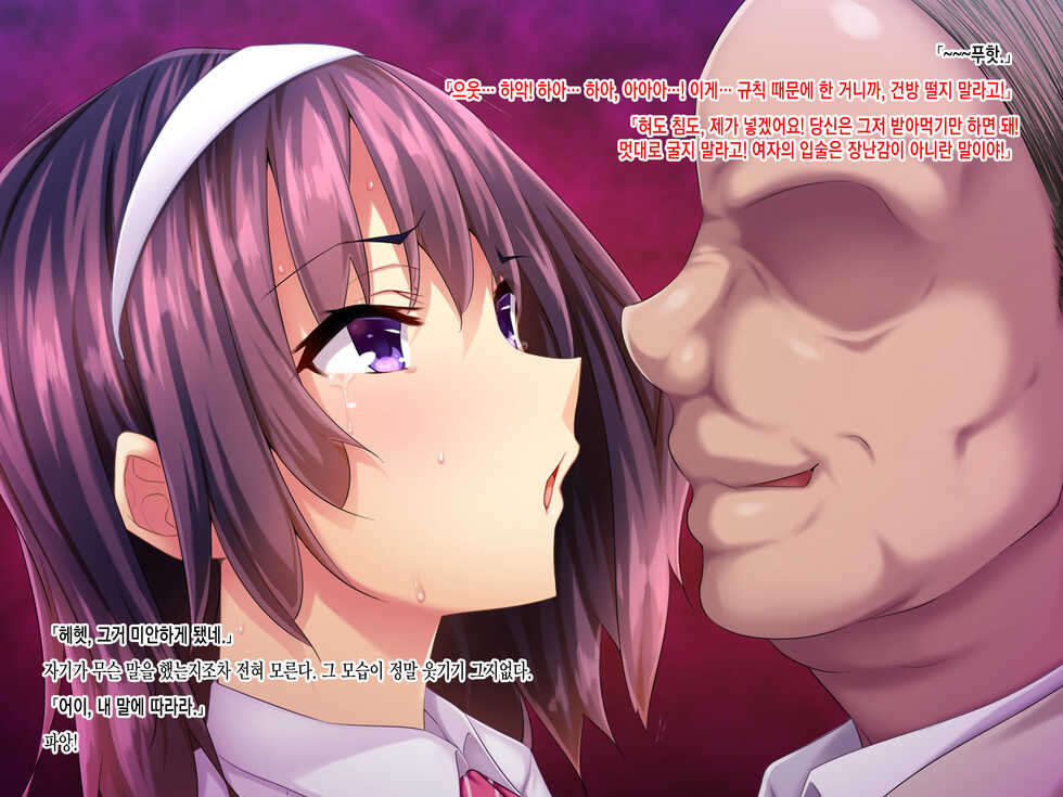 [Pin-Point (Fukuyama Naoto)] Teihen Youmuin Fukushuu Sennou ~Namaiki Reijou Saimin~ Zenpen [Korean] - Page 13