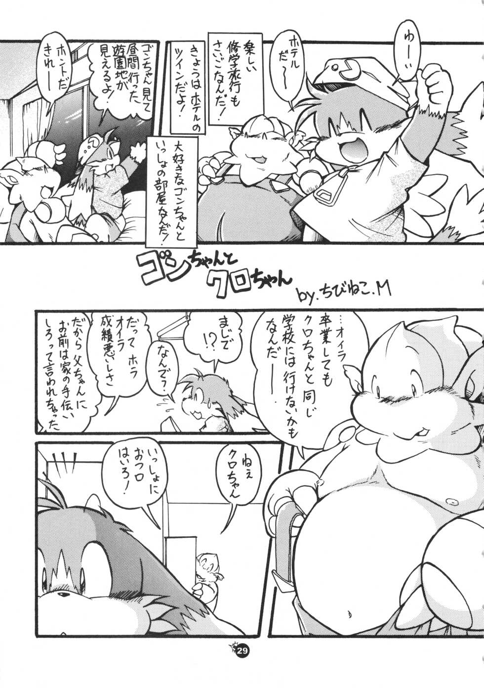 (C66) [Fuwamoko Honpo (Various)] Natsu da! Hanabi da! Pango Matsuri (Klonoa) - Page 28