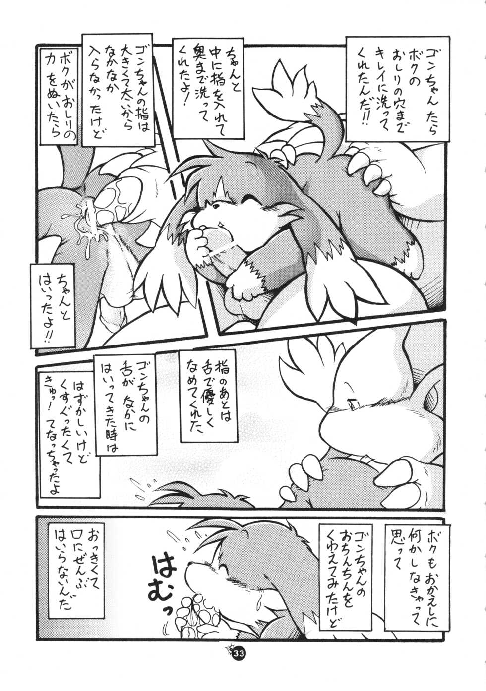 (C66) [Fuwamoko Honpo (Various)] Natsu da! Hanabi da! Pango Matsuri (Klonoa) - Page 32