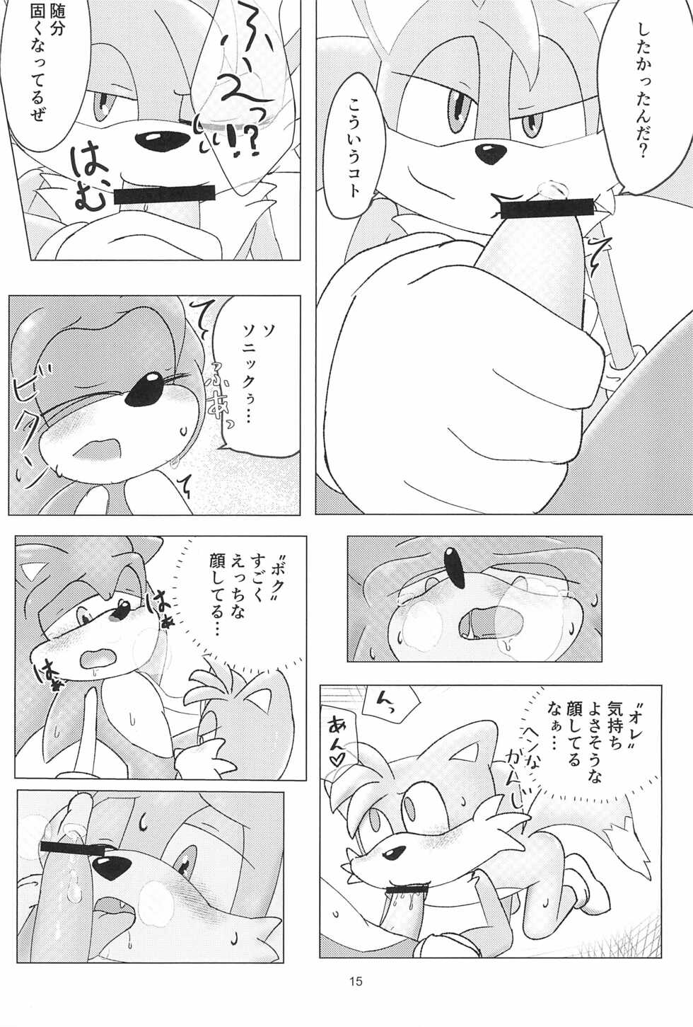 (C100) [OneChan Rabbit (OneChan ART)] Buddy Swap!? (Sonic the Hedgehog) - Page 17