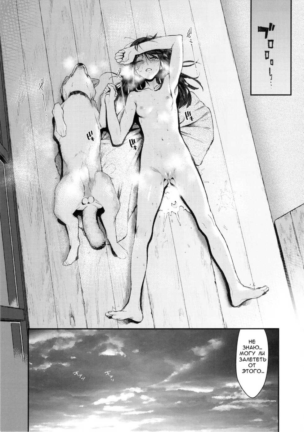 (C89) [zero-sen (xxzero)] Inu no Kimochi Ii Vol. 001 [Russian] [bubububa] [Decensored] - Page 30