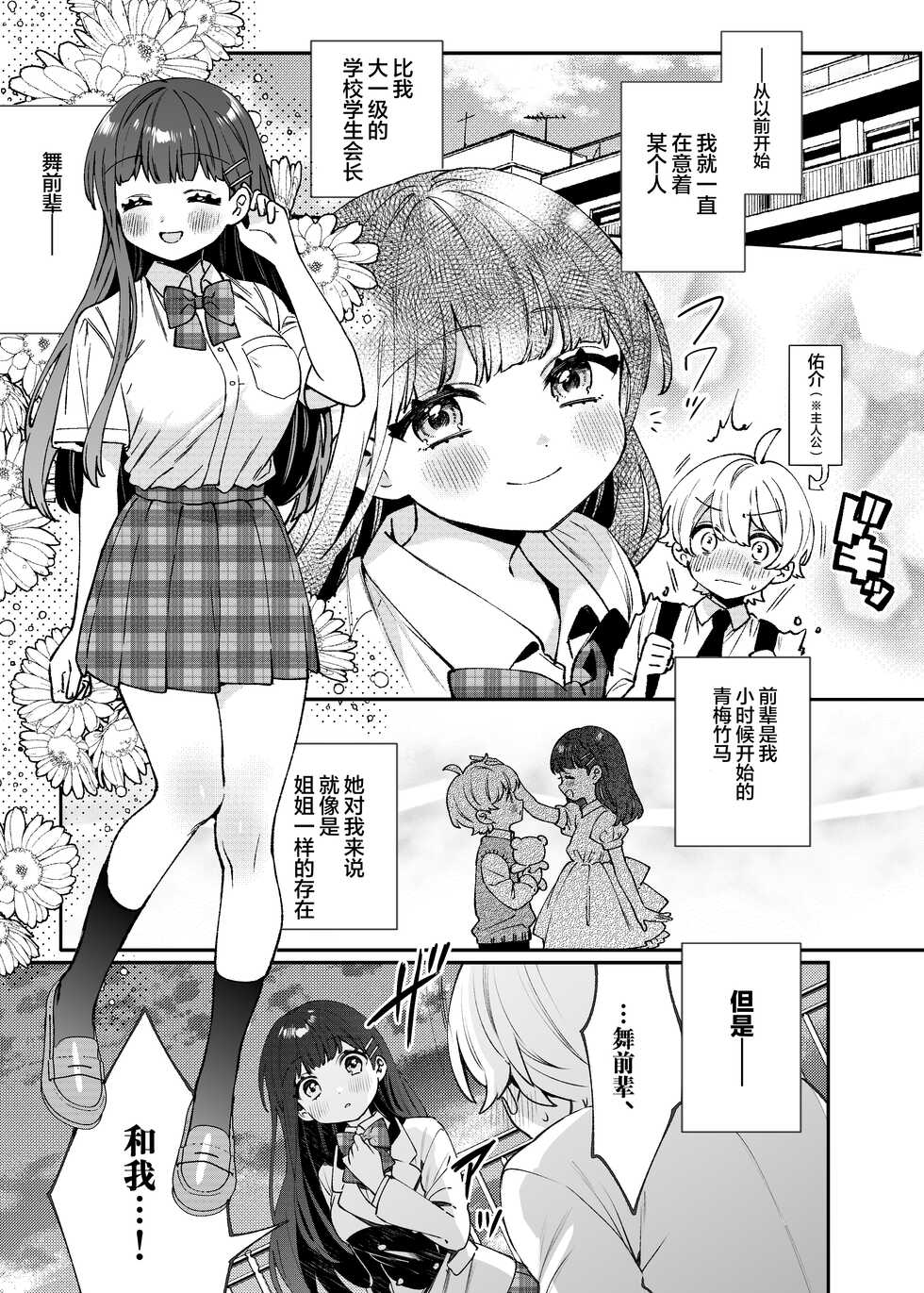 [Clochette (Sakura Yuki)] Seiso na Mai to Yoru no Himitsu - THE NEAT AND CLEAN GIRL "MAI" AND THE SECRETS NIGHT [Chinese] [绅士仓库汉化] [Digital] - Page 5