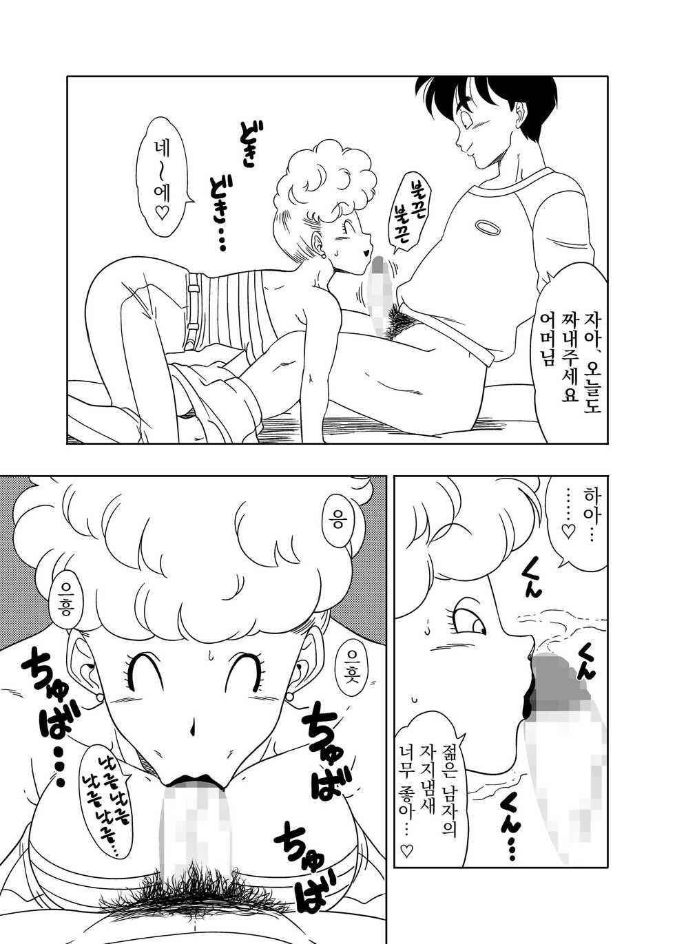 [Old School Academy (Amedama Akihito) ] DB-X Yamcha x Bulma no Mama Hen (Dragon Ball Z) [Korean] - Page 13
